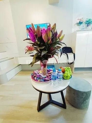 Nhà Đẹp Gần Đường Bạch Mai, Hai Bà Trưng 35M, Tầng 1, Giá 2,75 Tỷ.