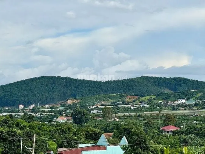 Đất Nghỉ Dưỡng Xã Nam Ban Cách Đà Lạt 20Km