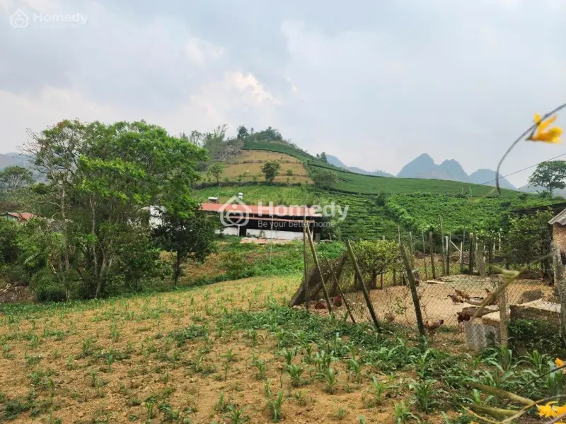 🌟 Siêu Phẩm Lô Góc- 3 Mặt Tiền- Cơ Hội Đầu Tư Không Thể Bỏ Lỡ