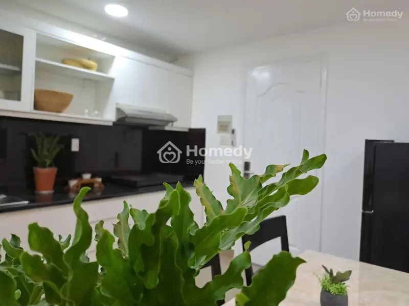 Cho Thuê Căn Hộ 2 Phòng Ngủ_ Quận 1_Gần Chợ Tân Định_Cv Lê Văn Tám_Full Nội Thất_Ban Công Cửa Sổ