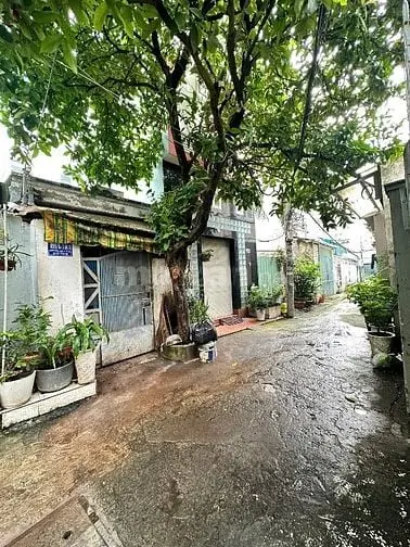 Bán Nhà Rẻ Hẻm Xe Hơi (5,9X11,5) 499/6/14 Quang Trung P10 Gò Vấp