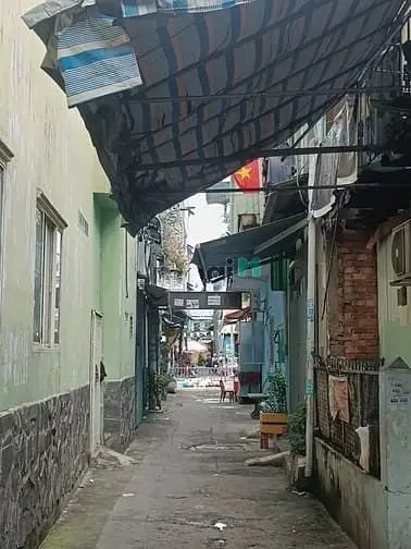 6051521 ảnh đại diện 1