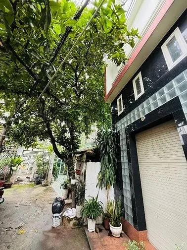 Bán Nhà Rẻ Hẻm Xe Hơi (5,9X11,5) 499/6/14 Quang Trung P10 Gò Vấp