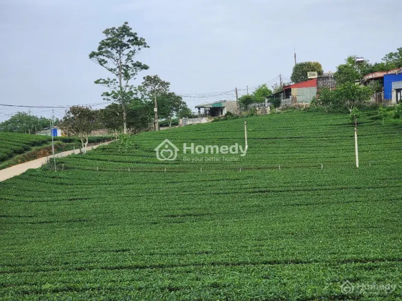 🌟 Siêu Phẩm Lô Góc- 3 Mặt Tiền- Cơ Hội Đầu Tư Không Thể Bỏ Lỡ
