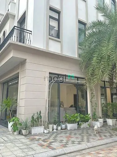 Cho Thuê Mặt Bằng Kinh Doanh, Văn Phòng Vin 2 Ocean Park Chỉ 4,5Tr/Th