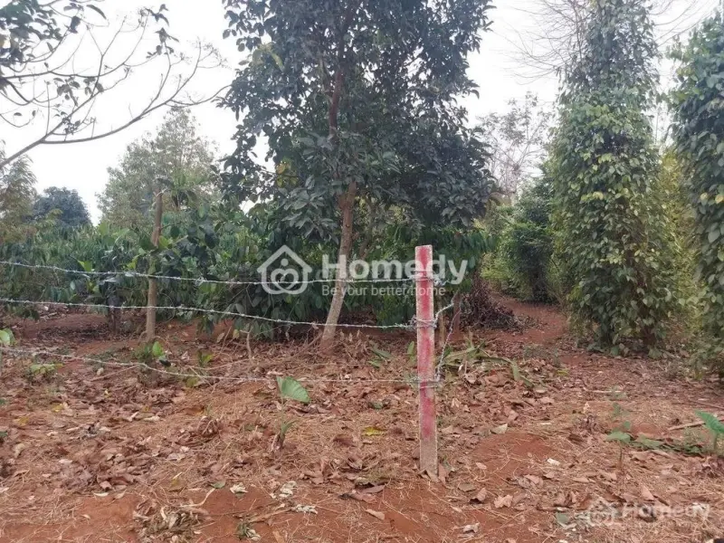 6052117 ảnh đại diện 1