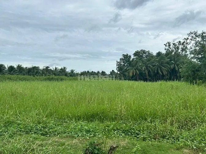 Chính Chủ Cần Bán Đất Ở Phường Phú Tân Thành Phố Bến Tre.