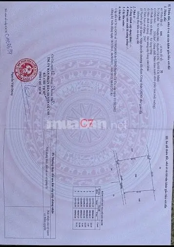 Bán Đất Vườn 500M² Nhuận Đức Củ Chi – Sổ Đỏ Sang Tên Ngay- Đường Oto