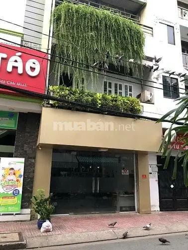 Bán Gấp Nhà Mt Năm Châu, P.11, Quận Tân Bình.