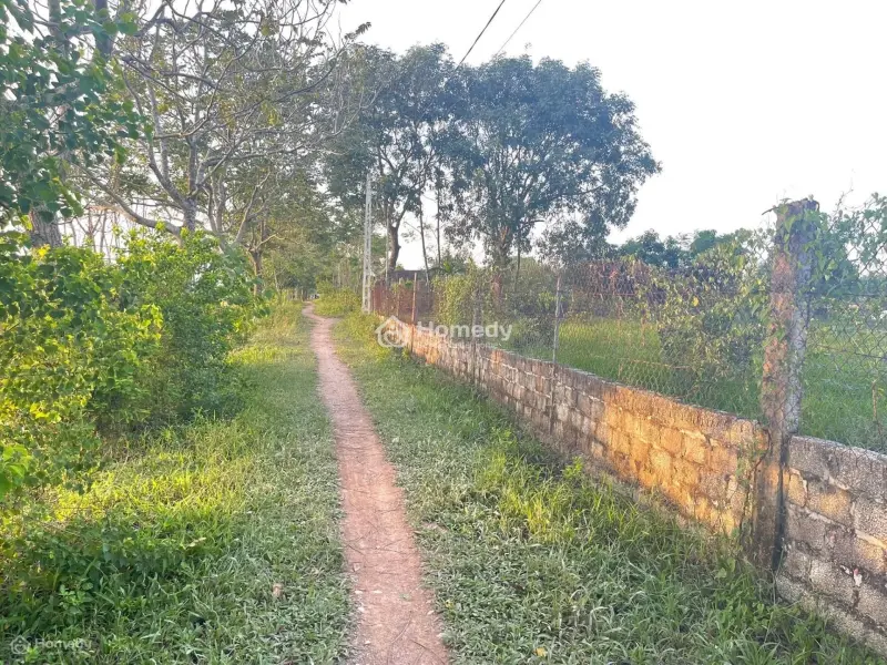 Bán 80M Mt Sâu 25M Full Thổ Cư Tại Tiến Nông Giá Từ Chủ
