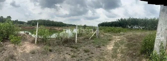 Bán Gấp 3 Mẫu Đất Xã Thạnh Bình, Tân Biên, Tây Ninh, 12X200M, 3Tỷ800