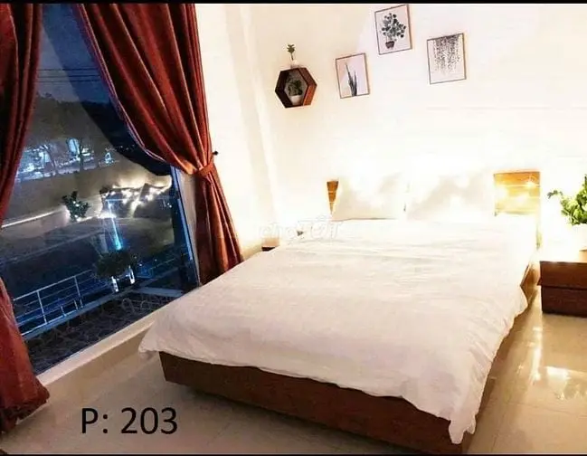 Siêu Phẩm Chdv 6 Tầng – Hẻm Xe Hơi 6M Hoàng Văn Thụ, P4 Tân Bình