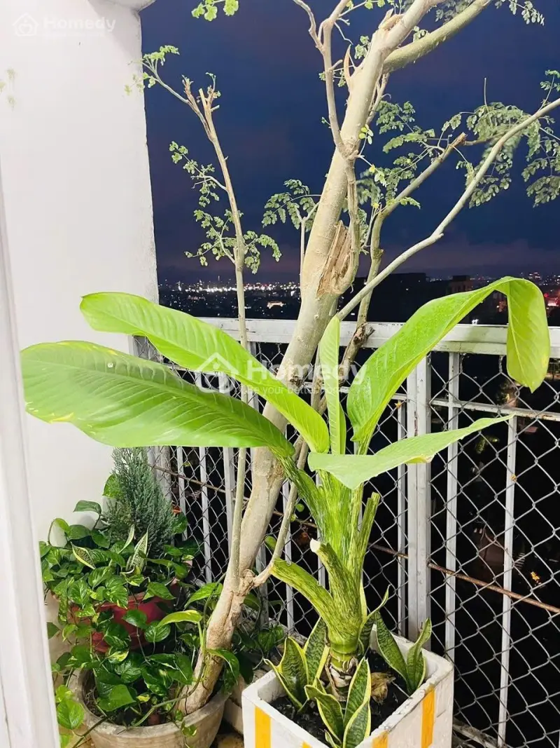 Chung Cư Ruby Garden, Nguyễn Sỹ Sách, Tb: 10Tr/Th, 2P Ngủ, Full Nội Thất Mới