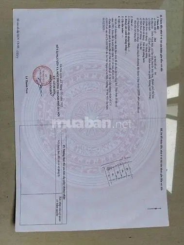 Hàng Siêu Hiếm Chỉ Nhỉnh Tỷ Có Ngay 52M - Tại Cầu Xây -Tân Dân