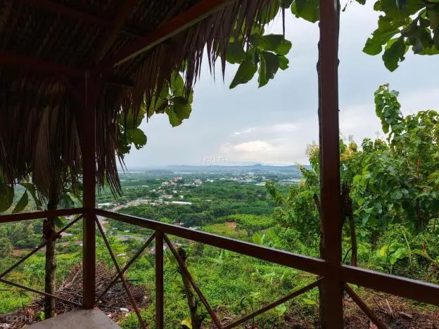 Bán Đất Vườn La Ngà - Định Quán, Đồng Nai, View Hồ Trị An 1000M2 Giá Chỉ 850Tr