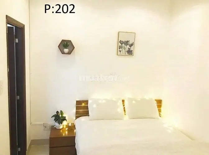 Siêu Phẩm Chdv 6 Tầng – Hẻm Xe Hơi 6M Hoàng Văn Thụ, P4 Tân Bình