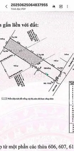 Bán Đất 500M2 Đường 197 Hoàng Hữu Nam, Quận 9 - Dt : 9.6M X 50M