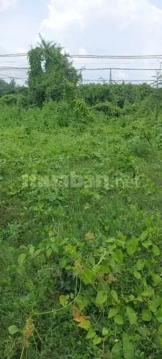 Cần Tiền Đống Tiền Học Chi Con Bán Gấp Lô Đất Giá Siêu Rẻ