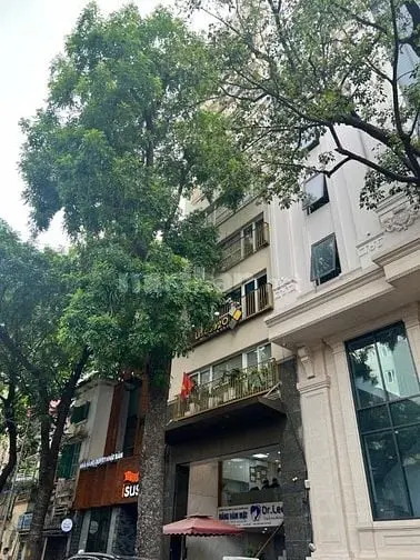 Khách Sạn 9 Tầng Phố Liễu Giai, 100M2,Dòng Tiền 200 Triệu,Nhỉnh 60 Tỷ