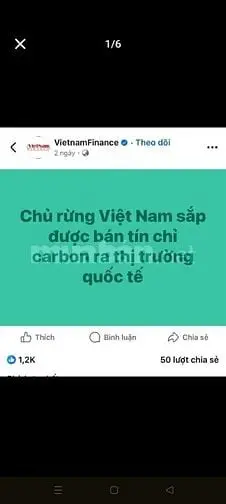 Gần 3 Hecta Rsx, Chính Chủ, Bám Suối, Cơ Hội Vàng – Đầu Tư Rừng