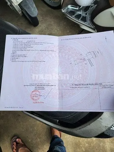 Cần Bán Gấp Đất Thổ Cư, Đường Xe Ô Tô, Sổ Hồng Riêng