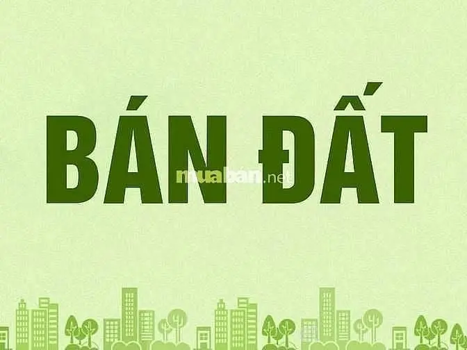 Cần Bán Đất Đức Huệ – Long An, Đất Full Thổ Cư, Sổ Hồng Chính Chủ