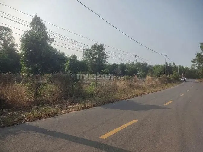 Bán Đất Đẹp Xuất Sắc, An Ninh, Đức Hòa, 17,5 Tỷ, 1600M2
