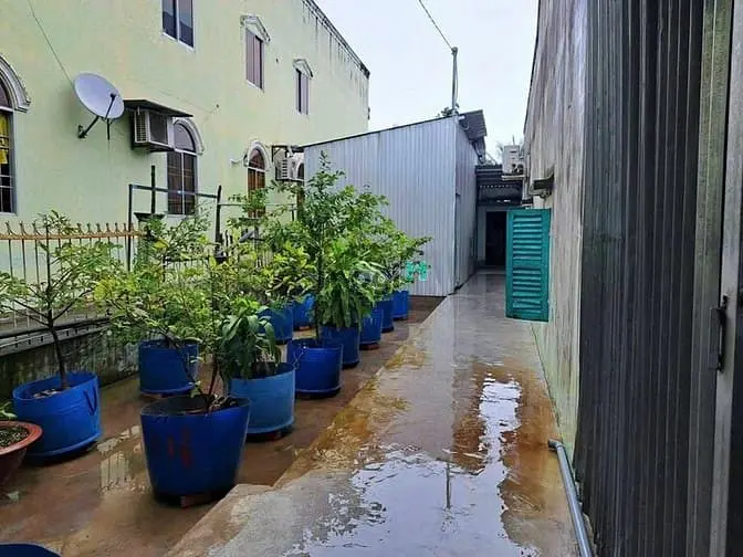 Nhà Kinh Doanh Ngay Cây Trôm Mỹ Khánh - Phước Hiệp Củ Chi, 890Tr, Shr