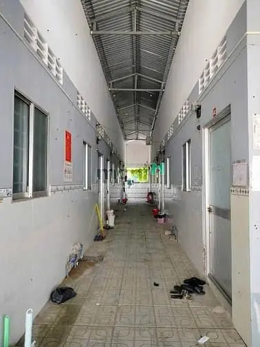 Sang Gấp Dãy Trọ 13 Phòng Ngay Tân Thông Hội, Củ Chi, 1 Tỷ 050 Tr, Shr