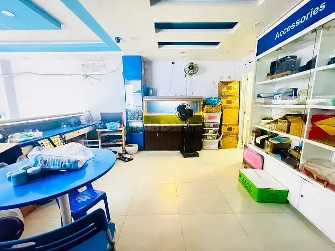 Mặt Tiền " Nguyễn Trãi" Q5- 5.2X9M - 4 Tầng- Siêu Vị Trí - Chỉ 23 Tỷ