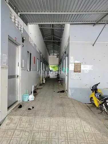 Sang Gấp Dãy Trọ 13 Phòng Ngay Tân Thông Hội, Củ Chi, 1 Tỷ 050 Tr, Shr