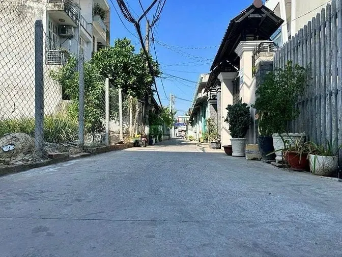 6053445 ảnh đại diện 1