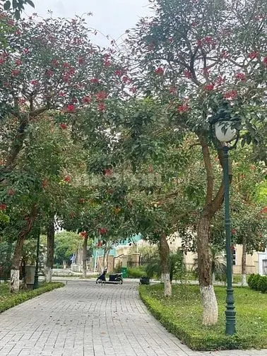 Bán Căn Biệt Thự 500M2 Khu Hồ Lớn Nam An Khánh