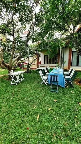 Cho Thuê Nhà Vườn Khu Biệt Thự Đường 816 Phú Hữu Quận 9. Phù Hợp Kd