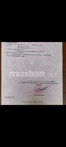 Bán Đất Mặt Đường Lương Chí, Phường Bình Minh, Thị Xã Nghi Sơn Th. Hoá