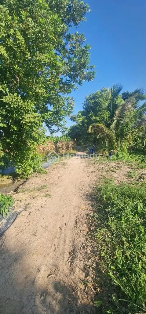Bán Đất Thích Hợp Làm Nhàn Vườn Nghĩ Dưỡng