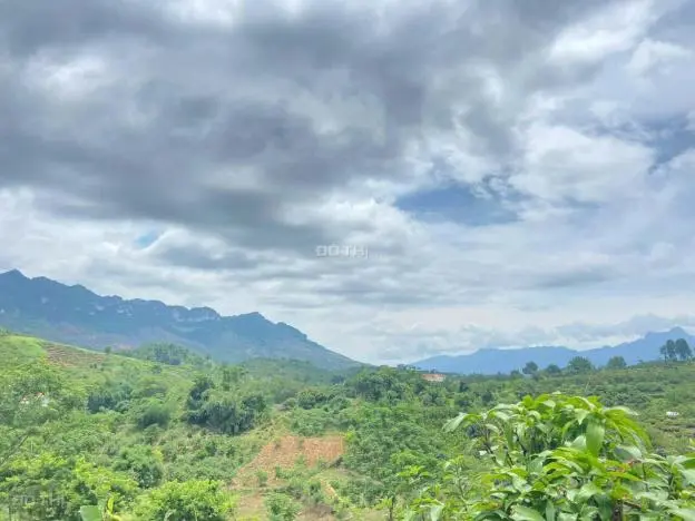 Đất Vàng Nghỉ Dưỡng – Homestay Tại Chiềng Sơn