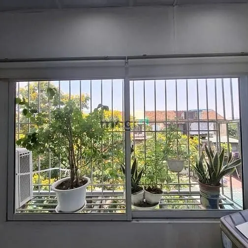 Chính Chủ Bán Gấp Căn Penhouse Tt 8/3 View Đẹp Triệu Đô