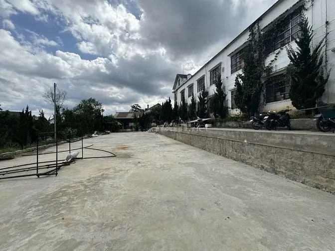 Cho Thuê Villa Mt Mai Anh Đào, P.8, Đà Lạt. Dt 10X8M Hầm 3L. Giá 45Tr