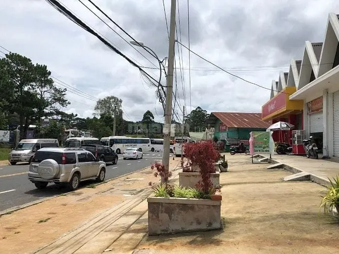 Cho Thuê Villa Mt Mai Anh Đào, P.8, Đà Lạt. Dt 10X8M Hầm 3L. Giá 45Tr