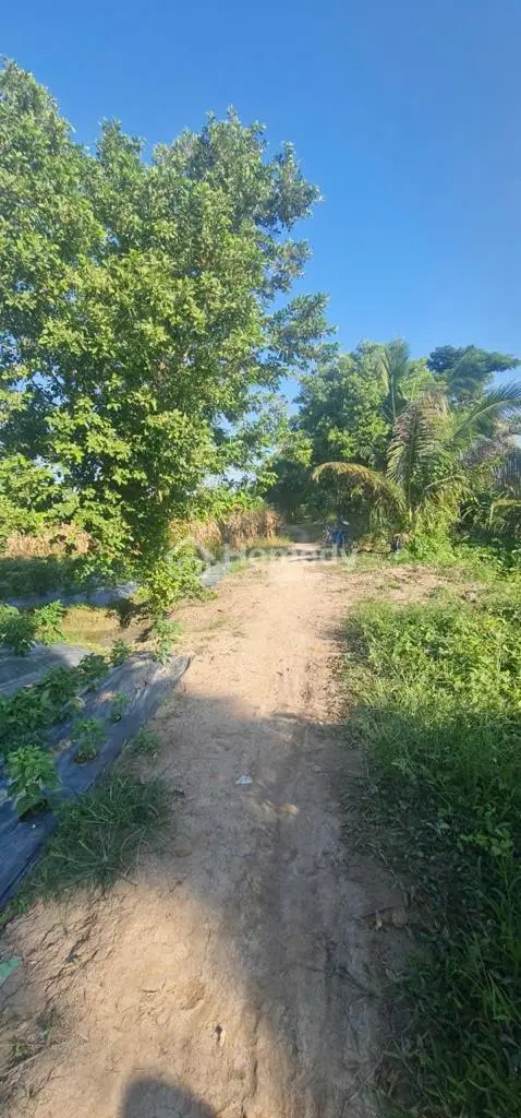 Bán Đất Thích Hợp Làm Nhàn Vườn Nghĩ Dưỡng