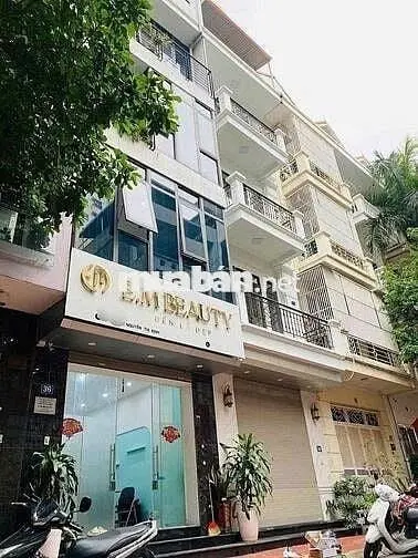 6055043 ảnh đại diện 1
