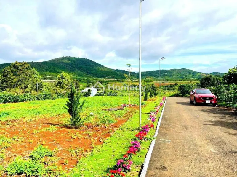 Bán 130M2 Đất Sổ Riêng Xây Dựng -Liên Hiệp -Đức Trọng Lâm Đồng 970 Triệu