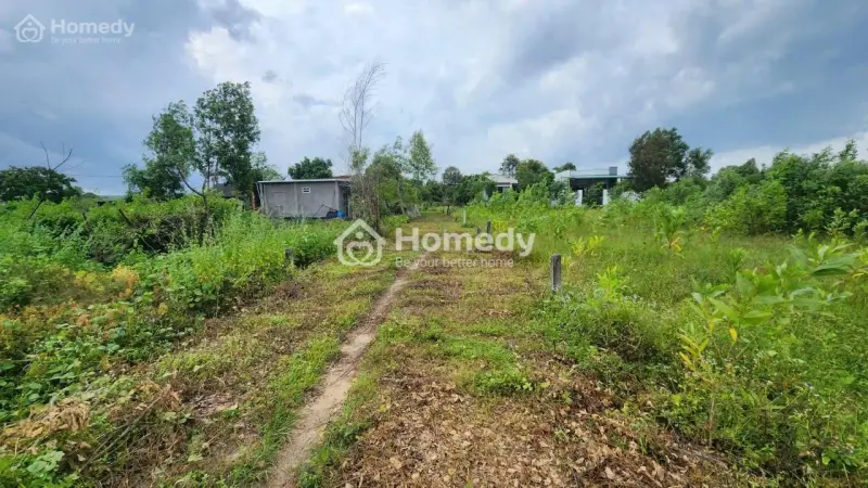 6055134 ảnh đại diện 1