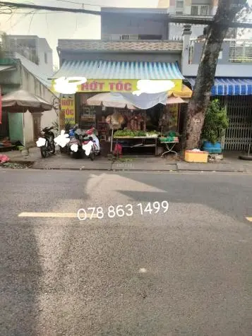 6055504 ảnh đại diện 1