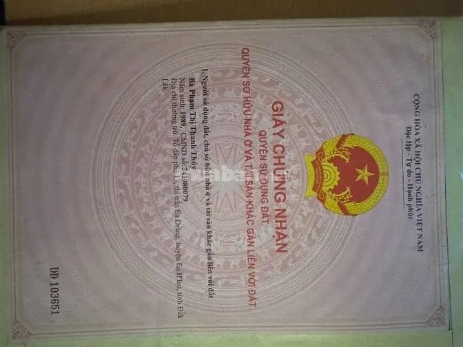 6055350 ảnh đại diện 1