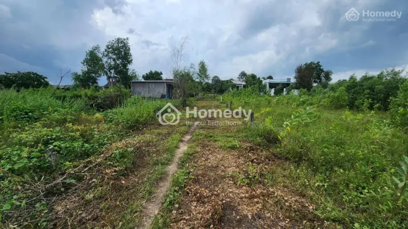 Bán Gấp 5X21 Full Thổ Cư Gần Biển Cam Bình, Lagi. Đường Ô Tô Giá Chỉ 700 Triệu