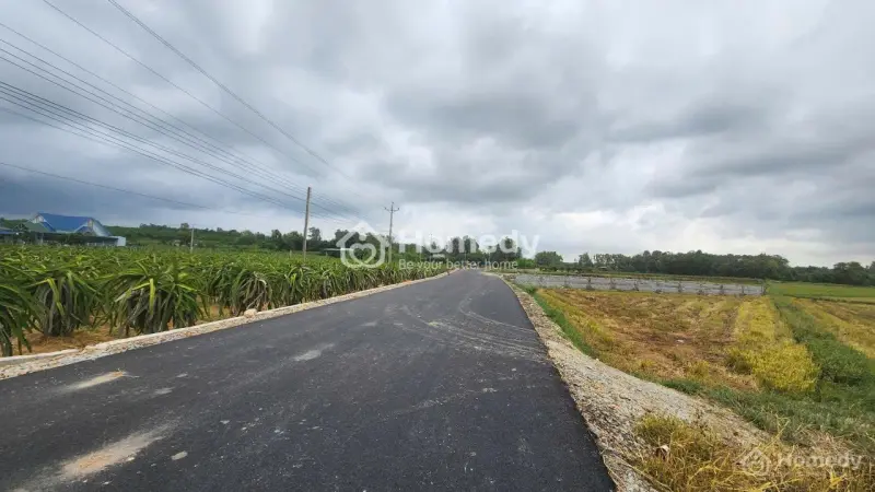 Bán 6M X 37M Đất Thổ Cư Đường Lê Đức Thọ, Tân Bình, Lagi Giá Mềm Gần Trường Học