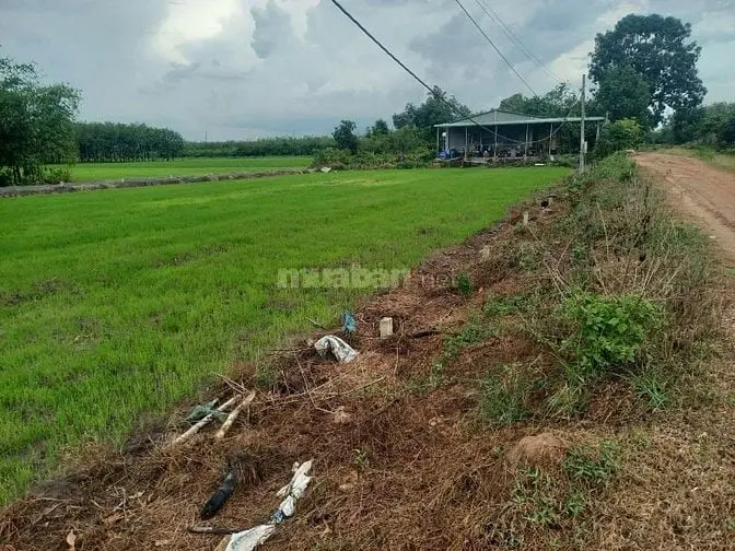 5X35 Full Thổ Cư. Đường Xe Hơi. Dân Đông. Chỉ 180Tr Hết Đất