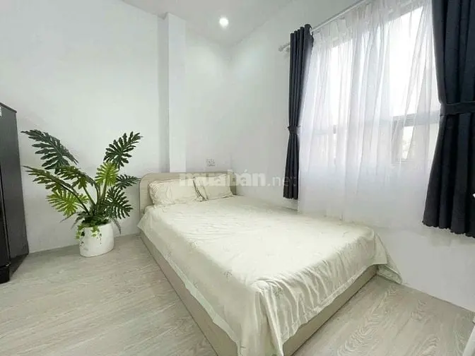 ✨ Bán Căn Hộ The Pegasuite 2 – 1Pn+ Full Nội Thất – Có Sổ ✨ • Diện T
